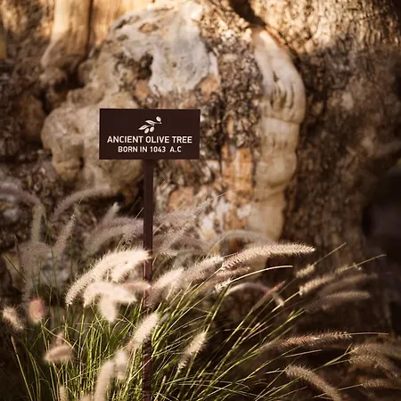 Acro - A Wellbeing (adults Only) Hotel 5*